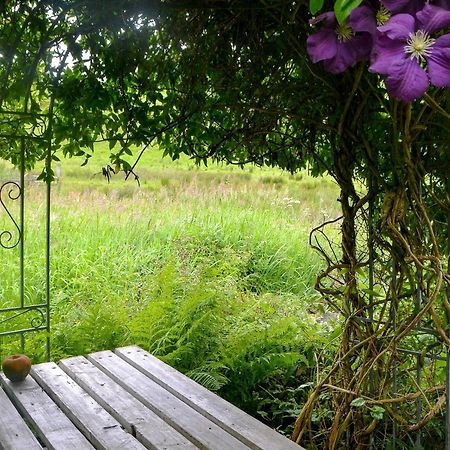 The Cottage Blackwood  Экстерьер фото